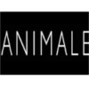 Animale - Campo Grande